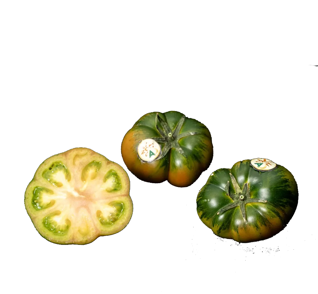 Mini Raf Pintón Tomato
